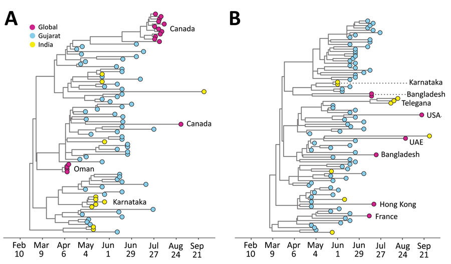 Timing of exportation of severe acute respiratory syndrome coronavirus 2 from Gujarat, India. Maximum clade credibility trees are for the 2 largest transmission lineages identified in this study: A) DTA_MCC_4; B) DTA_MCC_5. UAE, United Arab Emirates.