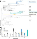 Phylogenetic and temporal descriptions of severe acute respiratory syndrome coronavirus 2 (SARS-CoV-2) sequences from Institut Pasteur de Guinée from samples collected in Guinea during March 12, 2020–July 16, 2021. A) Maximum-likelihood phylogenetic tree of 136 SARS-CoV-2 genomic sequences. The tree was constructed with IQ-tree software by using multiple-genome sequence alignment and Wuhan-Hu-1 strain (GenBank accession no. NC 045512) as outgroup reference sequence, indicated by the red asterisk. Branches and the sequence names are colored according to Nextclade assigned clades: 20A, light gray; 20B, medium gray; 20C, dark gray; 20D, black; 20I/B.1.1.7/Alpha, blue; 21A/B.1.617.2/Delta, azure; 21D/B.1.525/Eta, yellow. Each sequence is highlighted by a black tip. Scale bar indicates the distance corresponding to substitution per site. B) Chronologic distribution of SARS-CoV-2 genomic variants over 17 months in Guinea. The 136 selected sequences are assigned by Nextclade and classified according to sampling date from March 31, 2020, to July 16, 2021. Clades are colored as in panel A.