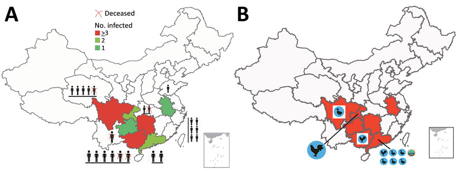 Distribution of confirmed cases of avian influenza A(H5N6) virus in humans, China, 2021. A) Provinces of the outbreaks and number of infected persons. A red X indicates a deceased person, and colors represent the number of infected persons. B) Region of novel H5N6 virus isolation from birds (chickens, ducks) and the environment (green icon). The red areas on the map indicate the provinces where human cases occurred in 2021. Insets indicate islands of China, additional sites of poultry breeding and human habitation.