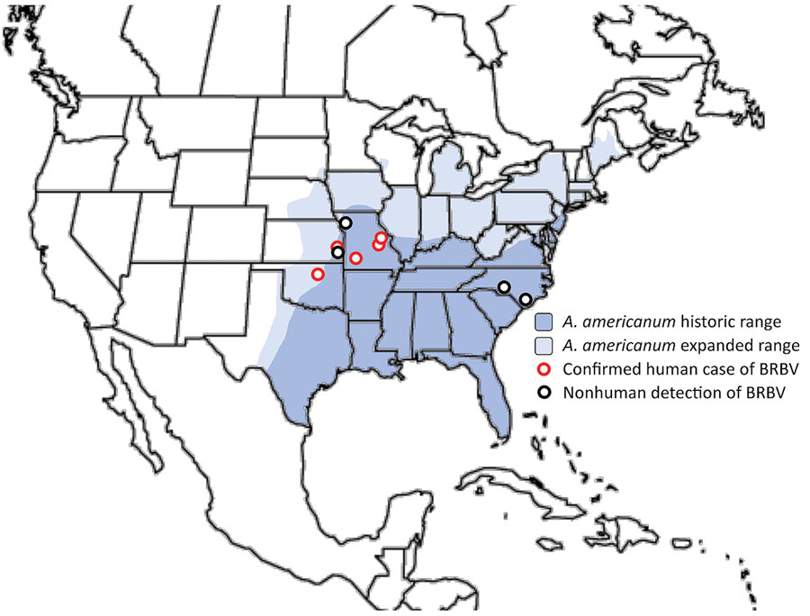 Geographic range of BRBV and its vector, the Amblyomma americanum tick. Confirmed human cases of BRBV infection and virus detection in nonhuman animals are superimposed over historic and expanded geographic ranges of the lone star tick (A. americanum). Confirmed human cases of BRBV infection were identified by the US Centers for Disease Control and Prevention, and detection of virus in nonhuman animals occurred primarily through sampling of ticks and subsequent testing by using PCR and serologic testing of mammals. BRBV, Bourbon virus.