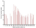 Sequenced vaccine-strain measles virus matrix protein gene from a 1-year-old patient’s brain tissue, California, USA. Results show biased hypermutation of uracil-containing codons, with >1 U-to-C mutation at levels ≥5%, consistent with hypermutation of the matrix gene as found in central nervous system measles virus infections such as subacute sclerosing panencephalitis and measles inclusion body encephalitis. C, cytosine; U, uracil.