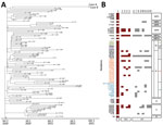 Detection of severe acute respiratory syndrome coronavirus 2 Omicron variant in 2 patients (cases A and B) in Hong Kong, China, November 2021. A) Phylogenetic time tree of Omicron nucleotide sequences using an early severe acute respiratory syndrome coronavirus sequence as a reference sequence (Wuhan-Hu-1/2019; GenBank accession no. MN908947.3). B) Comparison of Omicron variant mutations in case A to other variants; red indicates VOC and gray VOI (Appendix). Text colors indicate mutations found in NTD (blue), RBD (orange), FP (purple), and HR1 (green). Lane 1, case A; 2, Alpha (B.1.1.7); 3, Beta (B.1351); 4, Delta (B.1.617.2); 5, Gamma (P1); 6, Epsilon (B.1.427/429); 7, Eta (B.1.525); 8, Iota (B.1.526); 9, Kappa (B.1.617.1); 10, Lambda (C.37); 11, Mu (B.1.1.621); 12, Theta (P.3); 13, Zeta (P.2). E, envelope; FP, fusion peptide; HR1, heptad repeat 1; M, matrix; NSP, nonstructural protein; NTD, N-terminal domain; RBD, receptor-binding domain; S, spike; VOC, variant of concern; VOI, variant of interest.