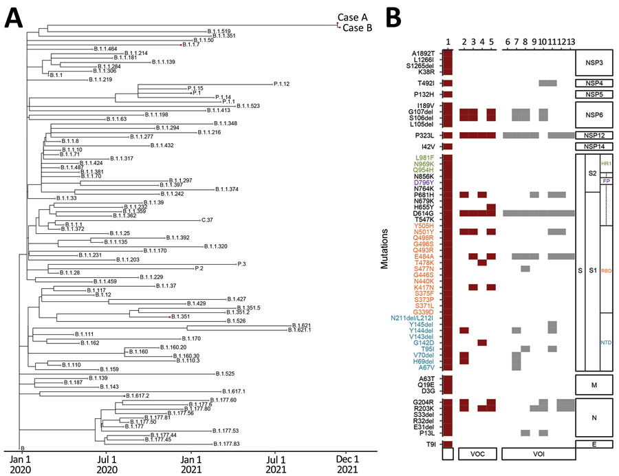 Detection of severe acute respiratory syndrome coronavirus 2 Omicron variant in 2 patients (cases A and B) in Hong Kong, China, November 2021. A) Phylogenetic time tree of Omicron nucleotide sequences using an early severe acute respiratory syndrome coronavirus sequence as a reference sequence (Wuhan-Hu-1/2019; GenBank accession no. MN908947.3). B) Comparison of Omicron variant mutations in case A to other variants; red indicates VOC and gray VOI (Appendix). Text colors indicate mutations found in NTD (blue), RBD (orange), FP (purple), and HR1 (green). Lane 1, case A; 2, Alpha (B.1.1.7); 3, Beta (B.1351); 4, Delta (B.1.617.2); 5, Gamma (P1); 6, Epsilon (B.1.427/429); 7, Eta (B.1.525); 8, Iota (B.1.526); 9, Kappa (B.1.617.1); 10, Lambda (C.37); 11, Mu (B.1.1.621); 12, Theta (P.3); 13, Zeta (P.2). E, envelope; FP, fusion peptide; HR1, heptad repeat 1; M, matrix; NSP, nonstructural protein; NTD, N-terminal domain; RBD, receptor-binding domain; S, spike; VOC, variant of concern; VOI, variant of interest.