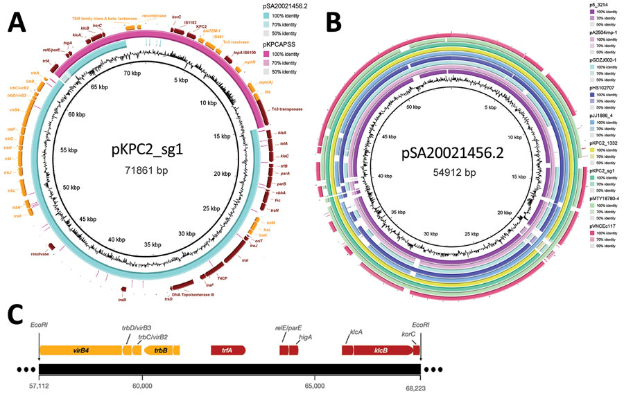Annotated plasmid maps of the dominant carbapenemase-encoding plasmid in clinical Enterobacterales isolates and hypervirulent Klebsiella pneumoniae, Singapore. A) Annotated plasmid map of pKPC2_sg1 (GenBank accession no. MN542377), including the complete conjugative machinery (oriT, relaxase, T4CP, and T4SS) and the resistance genes, blaKPC-2, blaTEM-1, mph(A), and TEM family class A β-lactamase (TEM-1). The region of pKPC2_sg1 encoding the resistance genes was found in another plasmid called pKPCAPSS (GenBank accession no. KP008371), but the region encoding the conjugative machinery was highly similar to the sequence of pSA20021456.2 (GenBank accession no. CP030221). B) Plasmid alignment map showing other environmental or clinical plasmids with similar backbone, the pSA20021456.2 backbone, as pKPC2. C) Graphical representation of EcoRI/BamHI digested pKPC2 region containing replicon. 