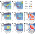 Age-mixing matrices relevant for droplet transmission (A,B), nonsaturating airborne transmission (C,D), and Mycobacterium tuberculosis transmission (F,G) for study of social contact patterns for airborne transmission of respiratory pathogens, Western Cape Province, South Africa. Panels A, C, and F show absolute contact intensities between respondents and contacts in each age group; panels B, D, and G show intensities of contact between each member of each age group; panels E and H show intensities for airborne infections and Mycobacterium tuberculosis compared with intensities for droplet infections, respectively. Numbers shown in panel A are the mean number of contacts respondents in each age group have with contacts in each age group per day. Numbers shown in panel B are the rate of contact between each person in the population per day, expressed as rates × 105. Numbers and rates in panels C, D, F, and G are standardized so that the mean overall contact intensity by reported by adult respondents is the same as the mean number of overall close contacts reported by adult respondents (panel A). Contact numbers between child respondents and contacts in each age group were estimated from data on contact between adult respondents and child contacts.