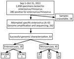 Flowchart of patients and specimens in study of circulation of EV-D68 during period of increased influenza-like illness, Maryland, USA, 2021. CV-A6, coxsackievirus A6; EV-D68, enterovirus D68.