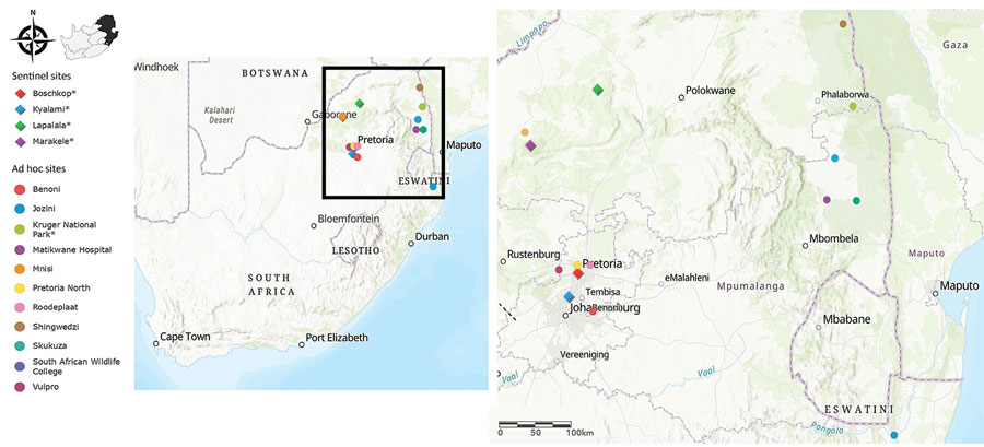 Sentinel and ad hoc mosquito collection sites across the northeastern region of South Africa in survey of West Nile and Banzi viruses in mosquitoes, South Africa, 2011–2018. Collection sites were selected according to recent cases of arboviral disease in humans and animals. Asterisks in the color-coded figure legend indicate sites where flaviviruses were identified in mosquitoes.