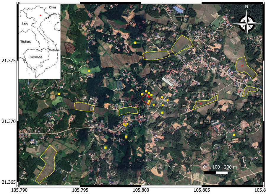 Environmental sampling sites in an investigation of 3 child deaths from melioidosis caused by Burkholderia pseudomallei–contaminated borehole water, Vietnam, 2019. The satellite map was created using QGIS software version 3.22.1 (https://www.qgis.org). Red outline indicates the family property where the children lived; red circle is borehole A from which B. pseudomallei was isolated. Yellow outlines are rice fields from which soil samples were collected; red stars indicate rice fields that tested positive for B. pseudomallei. Yellow circles indicate neighbors’ boreholes and yellow squares indicate neighbors’ ponds from which water samples were collected. Inset map shows Vietnam; red square indicates sampling area.