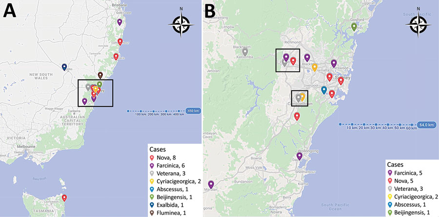 Location of Nocardia infections among heart and lung transplant recipients identified at St Vincent’s Hospital, Sydney, New South Wales, Australia, June 2015–March 2021. A) All Nocardia cases. Box indicates Greater Sydney region. B) All Nocardia cases within the Greater Sydney region.