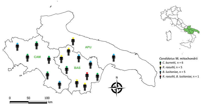 Distribution of 17 persons in whom Candidatus Midichloria mitochondrii and tickborne pathogens were detected, Italy, 2021. Inset shows region of interest in southern Italy (green shading). APU, Apulia; BAS, Basilicata; B. lusitaniae, Borrelia lusitaniae; CAM, Campania; C. burnetii, Coxiella burnetii; R. raoultii, Rickettsia raoultii.