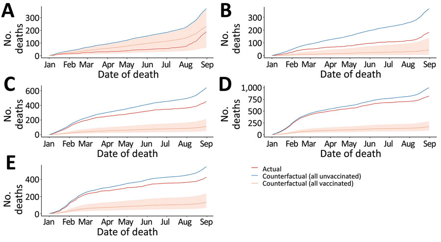 Cumulative number of COVID-19 deaths in counterfactual scenarios (i.e., all positive case-patients vaccinated, all positive case-patients unvaccinated, and actual reported cases), Tokyo, Japan, January 1–August 31, 2021. A) 30–59; B) 60–69; C) 70–79; D) 80–89; E) >90 years of age. Shaded areas represent 95% credible intervals