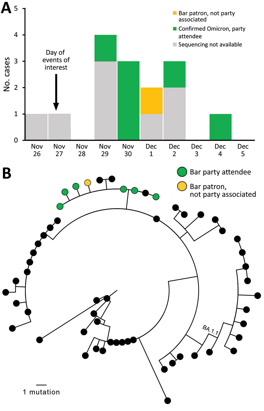 Cases in multistate (Colorado, Illinois, Louisiana, Missouri, Michigan) outbreak of infection with severe acute respiratory syndrome 2 Omicron variant after event in Chicago, Illinois, USA, November–December 2021. A) Cases over time. Sequencing results are shown, if available. B) Genetic relatedness of viruses isolated. Maximum-likelihood phylogeny of 7 sequenced Omicron samples in bar-associated outbreak (green and yellow) with 50 contextual sequences (black). Contextual sequences are a random sample of Omicron BA.1 and BA.1.1 sequences selected from all Omicron sequences in GISAID (https://www.gisaid.org) that were collected in the United States or before December 11, 2021, and had >90% genome coverage. Random selection was performed by using CLC Genomics Workbench (QIAGEN, https://www.qiagen.com). No contextual sequences were from Illinois. GISAID accession numbers for all included sequences are listed in the Appendix. One outbreak-associated specimen was sequenced by a private laboratory and not uploaded to GISAID. Full-genome sequences were used for PhyML phylogenetic analysis (4), excluding 250 bp from genome ends and an error-prone region (reference positions 21492–21935). Outbreak sequences were identical to each other or contained a single-nucleotide substitution (T12000C, T22813G, T25414C) and clustered (with 3 contextual sequences) in a clade diverged by 2 nts from the closest other sequences. The 2 nt substitutions that defined the outbreak branch (C11950T, C28472T) were present in just 5.2% of contemporaneous Omicron sequences from the United States available on GISAID, indicating that all available outbreak sequences were closely genetically related.