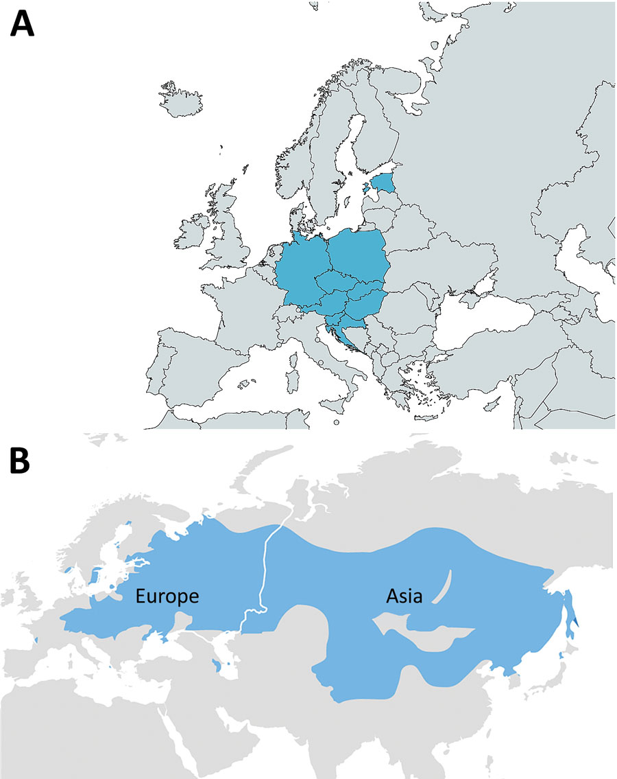 Geographic distribution of reported foodborne tick-borne encephalitis (FB-TBE) cases (blue shading), Europe, 1980–2021. A) The FB-TBE triangle in Europe. Russia had 5 cases in 1991 (not shown). Map created by using MapChart (https://mapchart.net). B) The tick-borne encephalitis belt, spanning from western Europe, across Russia, China, and Mongolia to Japan. Map from the Centers for Disease Control and Prevention (https://www.cdc.gov/tick-borne-encephalitis/geographic-distribution/index.html). 