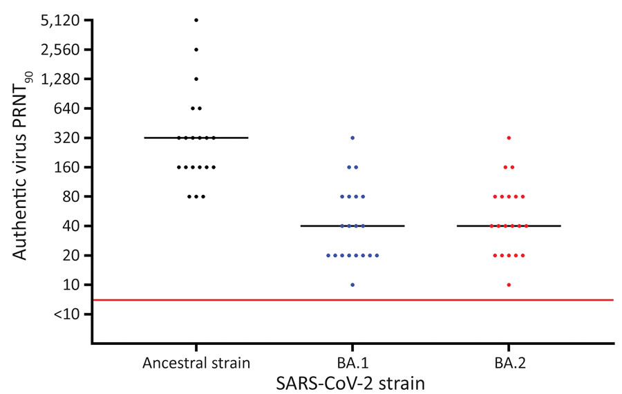 Results of PRNT90 of serum against SARS-CoV-2 ancestral strain and Omicron sublineages BA.1 and BA.2 after BNT162b2 (Pfizer-BioNTech, https://www.pfizer.com) booster vaccination, Denmark. Serum samples were collected from 20 SARS-CoV-2–naive participants who received 2 BNT162b2 doses and a booster BNT162b2 dose. Viral genome sequences are available in GenBank (accession nos. ON055855 for the ancestral strain, ON055874 for BA.1, and ON055857 for BA.2). Red line indicates neutralization threshold; black lines indicate median neutralization titers for each strain. PRNT90, 90% plaque reduction neutralization test.