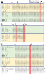 Nucleotide sequence alignment of selected sections of Ophidiomyces ophiodiicola from free-ranging snake collections from multiple natural history museums in Switzerland (bold) compared with reference sequences. Amplicons obtained with different PCR primer sets highlight single-nucleotide polymorphisms (SNPs, red boxes) unique to either the European (pastel gold) or American (pastel green) clades. PCR primer results: A) actin; B) transcription elongation factor; and C) internal transcribed spacer. The isolate UAMH 6688 (UK strain) shares 2/5 unique SNPs with the members of the clade from North America, whereas 3 of them (single asterisks) are shared with strains from Europe. These differences match the divergent branching of this strain in the clades from both North America and Europe. Similarly, 5 others fungal isolates (double asterisks)—R-3923; NWHC 24281-01-04-01, Myco_Ariz-An0400001, UAMH 11295, and UAMH 10768, in addition to UAMH 6688, originating from the United States, Australia, and the United Kingdom—shared the internal transcribed spacer SNP of the clade from Europe and clustered consistently in an intermediate group in the corresponding phylogenetic tree (Appendix Figure 4). 