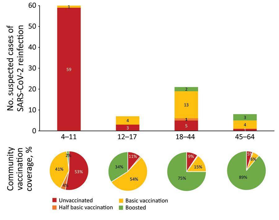 Number of patients with presumed SARS-CoV-2 reinfection including vaccination status compared with age-corresponding vaccination coverage in the community, Flanders, Belgium. Consecutive infections were detected during December 1, 2021–February 7, 2022 (reinfection with Omicron BA.1 shortly after Delta infection, n = 91 patients) and during January 1–March 10, 2022 (reinfection with Omicron BA.2 shortly after Omicron BA.1 infection, n = 5 patients). Half basic vaccination indicates 1 vaccine of ChAdOx1 nCoV-19 (AstraZeneca, https://www.astrazeneca.com), BNT162b2 (Pfizer-BioNTech, https://www.pfizer.com), or mRNA-1273 (Moderna, https://www.modernatx.com); basic vaccination indicates 2 vaccines of ChAdOx1, BNT162b2, or mRNA-1273 or 1 vaccine of Ad26.COV2.S (Johnson & Johnson/Janssen, https://www.janssen.com); boosted indicates basic vaccination followed by 1 vaccine of BNT162b2 or mRNA-1273.
