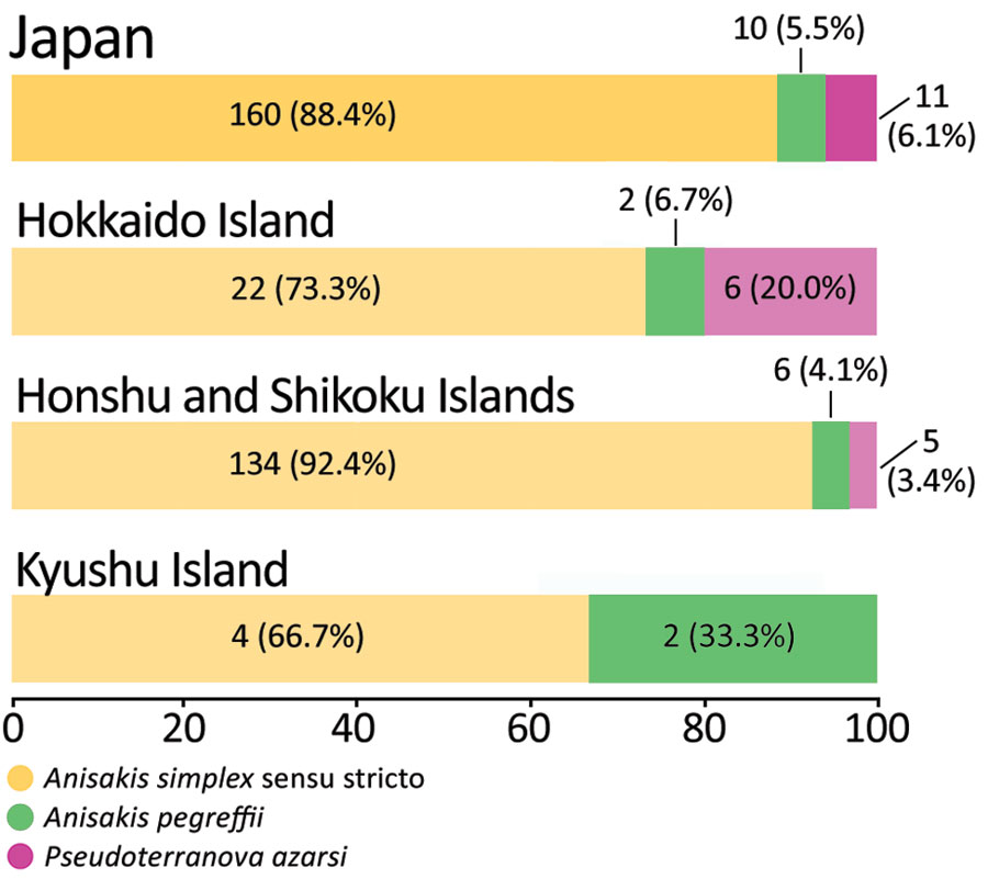 Analyzed number and percentage of anisakiasis patients and causative species, Japan, 2018–2019. One third (2/6) of patients in the Kyushu Island had Anisakis pegreffii infections. A. pegreffii–carrying fish are predominant in the Sea of Japan and the East China Sea, located between South Korea and Japan (11). Over 50% (6/11) of the patients with Pseudoterranova azarasi infection were from Hokkaido.