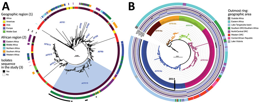 Phylogenomics of clinical and environmental Vibrio cholerae O1 El Tor isolates from the Lake Tanganyika basin, Africa. A) Maximum-likelihood phylogeny of 1,366 seventh pandemic V. cholerae O1 El Tor (7PET) genomes with strain A6 as the outgroup. The different sublineages introduced into Africa are indicated. Light blue indicates AFR10 sublineage. Rings 1 and 2 show geographic origin of isolates; ring 3 shows isolates sequenced in this study. B) Maximum-likelihood tree for 357 AFR10 isolates, with strain N16961 as an outgroup. The 5 clades are color-coded: AFR10a, brown; AFR10b, yellow; AFR10c, green; AFR10d, pink; and AFR10e, blue. The outermost ring indicates the geographic locations of the different isolates in the tree. Filled circles indicate the presence of ST69 or ST515, Ogawa and Inaba serotypes, IncA/C plasmid, and the S85L mutation in parC; open circles indicate their absence. MLST, multilocus sequence typing; ST, sequence type. 