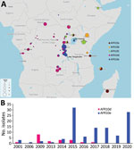 A) Spatiotemporal dynamics of the AFR10 clades of Vibrio cholerae O1 in the African Great Lakes Region, Africa, 1998–2020. Circle size indicates the number of isolates at the location concerned. The 5 AFR10 clades are color-coded: AFR10a, brown; AFR10b, yellow; AFR10c, green; AFR10d, pink; and AFR10e, blue. B) V. cholerae O1 isolates from the Lake Tanganyika basin. All AFR10 isolates from Bujumbura (Burundi), Kigoma (Tanzania) and the South-Kivu province (DRC) were considered to be Lake Tanganyika basin isolates.