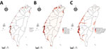 Distribution maps of pintail duck (Anas acuta) for study of integrating citizen scientist data into the surveillance system for avian influenza virus, Taiwan. A) True observation frequency from Taiwan eBird dataset; B) occupancy probability estimated by zero-inflated Poisson model; C) distribution map of wetland, based on the land-cover type from the Taiwan open terrestrial environmental dataset.