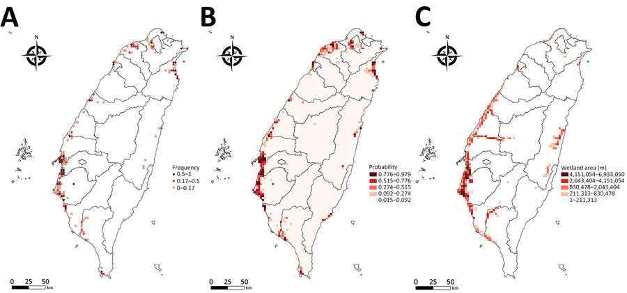 Distribution maps of pintail duck (Anas acuta) for study of integrating citizen scientist data into the surveillance system for avian influenza virus, Taiwan. A) True observation frequency from Taiwan eBird dataset; B) occupancy probability estimated by zero-inflated Poisson model; C) distribution map of wetland, based on the land-cover type from the Taiwan open terrestrial environmental dataset.