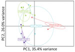 Relatedness of Plasmodium falciparum parasites from Djibouti, 2019–2020, with different pfhrp2 and pfhrp3 genotypes. Cluster PC analysis shown for 7 neutral microsatellite data for monogenomic infections by subpopulations: pfhrp2+/pfhrp3+ (n = 16), pfhrp2+/pfhrp3– (n = 15), pfhrp2–/pfhrp3+ (n = 4), pfhrp2–/pfhrp3– (n = 17). Plot shown with PC1 on x-axis and PC2 on y-axis with 95% confidence ellipses. PC, principal component.