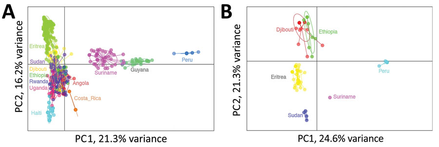 Relatedness of Plasmodium falciparum parasites from Djibouti, 2019–2020 with other global isolates. A) Cluster PC analysis shown for neutral microsatellite data for monogenomic infections by collection from different countries: Angola (n = 32), Costa Rica (n = 14), Djibouti (n = 52), Eritrea (n = 187), Ethiopia (n = 20), Guyana (n = 27), Haiti (n = 86), Peru (n = 18), Rwanda (n = 42), Sudan (n = 37), Suriname (n = 44), Uganda (n = 25). B) Cluster PC analysis shown for neutral microsatellite data for monogenomic infections containing pfhrp2 deletions by collection from different countries: Djibouti (n = 21), Eritrea (n = 43), Peru (n = 18), Ethiopia (n = 8), Sudan (n = 4), and Suriname (n = 1). Plots shown with PC1 on x-axis and PC2 on y-axis and 95% confidence ellipses. PC, principal component.