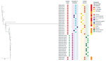 Whole-genome sequencing dendrogram of VIM-CRPA clinical (N = 20) and environmental (N = 13) isolates from hospital A, Texas, USA. Location of culture collection, isolate source, and patient hospital day when clinical culture was obtained are shown. All isolates were sequence type 308 and harbored a VIM-2 allele. No hospital day is provided for isolate 2018-33-17 because it was collected during an emergency department encounter; patient had had an overnight hospitalization in hospital A 2 weeks earlier. ICU, intensive care unit.