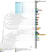 Summarized maximum-likelihood phylogenetic tree for Coccidioides immitis isolates from study of genomic epidemiology linking nonendemic coccidioidomycosis to travel and reference isolates. Each recognized phylogeographic clade is highlighted with a colored gradient labeled in its top right corner. Samples with travel history are presented with locations of isolation and all known patient travel, with colors for the geographic regions. Red bold tip labels indicate samples sequenced for this study; other samples are included when including travel history or otherwise mentioned in the main text. 