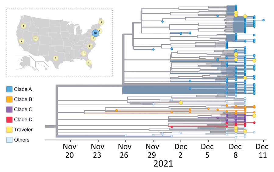 Phylogeny of SARS-CoV-2 Omicron viruses identified from travelers and locals in this study, New York, New York, USA, November 25–December 11, 2021. In the phylogenetic tree, colored dots represent viruses from New York residents by clade. Yellow dots represent viruses from travelers. The inset map shows the states and number of patients with isolated viruses. Yellow circles represent travelers’ home states; blue circle represents local New York residents. Map source: Wikimedia Commons (https://commons.wikimedia.org/wiki/File:Blank_US_Map_(states_only).svg).