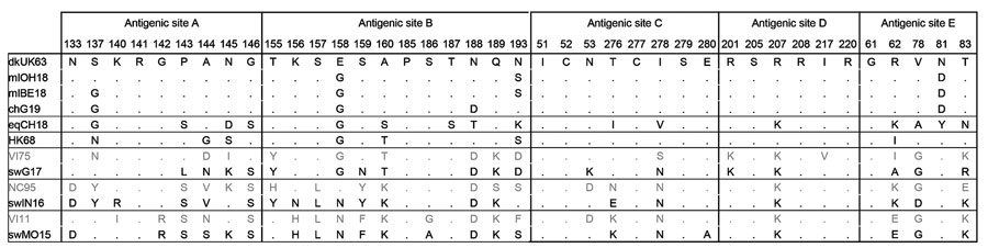 Amino acids at presumed antigenic sites of the hemagglutinin 1 (34) of the influenza A(H3) viruses used in this study and their presumed ancestor viruses. Dots indicate that the amino acid is the same as that for dkUK63. Gray indicates the presumed human ancestor viruses of swG17 (A/Victoria/3/75 [VI75]), swIN16 (A/Nanchang/933/95 [NC95]), and swMO15 (A/Victoria/361/2011 [VI11]), which were not included as test viruses in this study. Complete isolate names are provided in Table 2.