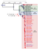 Origin of the 2022 oubreak of monkeypox virus (MPXV) infections. A) MPXV phylogeny of the 2022 outbreak, created by using 87 sequences from the 2022 outbreak together with sequences from past cases. Whole-genome Bayesian phylogeny and molecular estimates of divergence times were performed in BEAST 2.6.7 (https://beast.community) by using a generalized time reversible substitution model and a molecular clock of 5 × 10–6 substitutions/site/year under the assumption of constant population size. The model was run for 1 million generations and a burn-in of 10,000 trees. The maximum clade credibility tree is shown, and blue bars indicate uncertainty in node age for nodes with >50% support. Red indicates tree branches for 2022 strains. Sequence names for the 2022 outbreak are color-coded as follows: red, Europe; pink, North America; and blue, Asia. 