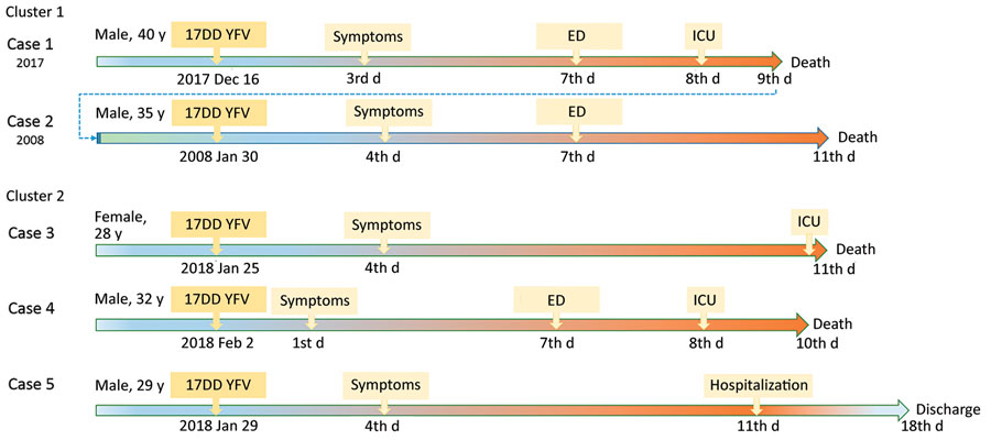 Timelines of reported cases of YFV–associated viscerotropic disease after 17DD vaccination during yellow fever epidemic, São Paulo state, Brazil, 2017–2018. Cases 1–2 were brothers and received standard doses. Cases 3–5 are siblings and received fractionated doses. ED, emergency department; ICU, intensive care unit; YFV, yellow fever vaccine.