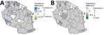 Differential scaled prevalences between Plasmodium malariae or P. ovale and P. falciparum at the school council level in study of similar prevalence of Plasmodium falciparum and non–P. falciparum malaria infections among schoolchildren, Tanzania. A) Blue shading indicates councils where P. falciparum scaled prevalence is greater (indicated by + in key) than P. malariae scaled prevalence; gold indicates regions where P. malariae scaled prevalence is greater. B) Light blue shading indicates councils where P. falciparum scaled prevalence is greater than P. ovale spp. scaled prevalence; green indicates regions where P. ovale scaled prevalence is greater. Comparison of scaled prevalences for P. falciparum and P. vivax is not depicted because the low number of P. vivax infections biased the scaled measurement.