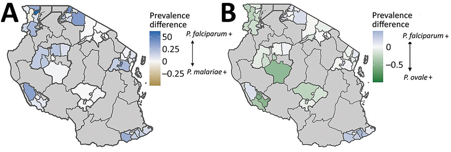 Differential scaled prevalences between Plasmodium malariae or P. ovale and P. falciparum at the school council level in study of similar prevalence of Plasmodium falciparum and non–P. falciparum malaria infections among schoolchildren, Tanzania. A) Blue shading indicates councils where P. falciparum scaled prevalence is greater (indicated by + in key) than P. malariae scaled prevalence; gold indicates regions where P. malariae scaled prevalence is greater. B) Light blue shading indicates councils where P. falciparum scaled prevalence is greater than P. ovale spp. scaled prevalence; green indicates regions where P. ovale scaled prevalence is greater. Comparison of scaled prevalences for P. falciparum and P. vivax is not depicted because the low number of P. vivax infections biased the scaled measurement.