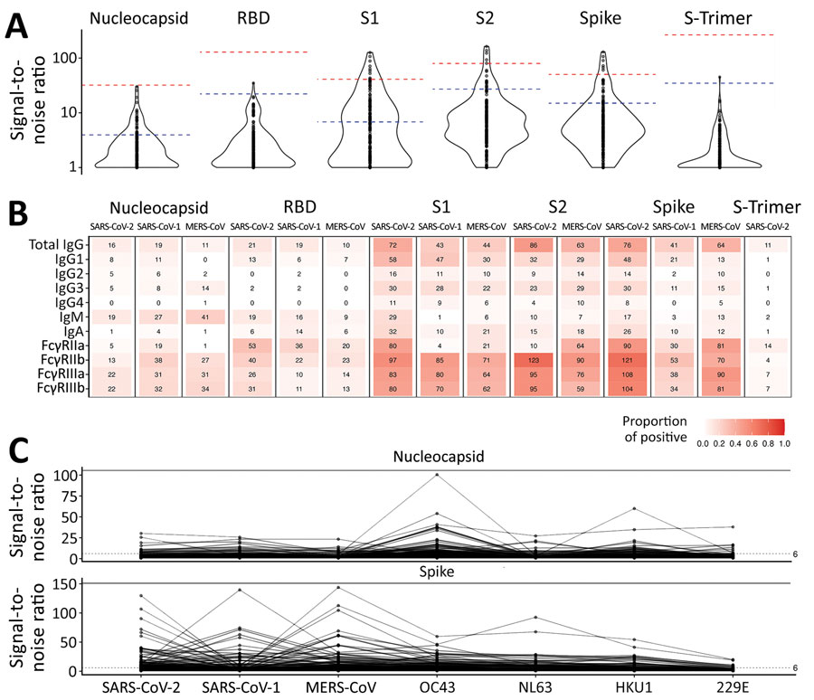 Comparison of antibody responses to human coronaviruses in serum and plasma samples collected before COVID-19 pandemic and from convalescent SARS-CoV-2 patients, Thailand and Africa. A) Violin plot comparing SARS-CoV-2 IgG binding responses against positive control samples. Blue dashed lines indicate median observed signal in positive control samples; pink dashed lines indicate maximum observed signal in positive control samples collected from SARS-CoV-2 convalescent patients. B) Number of coronavirus-positive samples detected by using a signal-to-noise ratio >6 across 3 outbreak coronaviruses and all antigens. C) IgG binding responses in nucleocapsid (top) and spike (bottom) proteins against all 7 human coronaviruses investigated. MERS-CoV, Middle East respiratory syndrome coronavirus; RBD, receptor-binding domain; S1, subunit 1; S2, subunit 2.