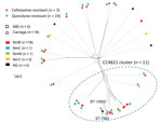 Allele-based clusters of penicillin-nonsusceptible meningococcal isolates identified by using Neisseria meningitidis core-genome multilocus sequence typing (MLST) v1.0 scheme, Shanghai, China, 1965–2020. Arrows indicated the 3 singleton isolates identified by 7-locus–based MLST but assigned to CC4821 cluster by core-genome MLST analysis. Scale bar indicates numbers of loci. CC, clonal complex; IMD, invasive meningococcal disease; NG, nongroupable; NmB, serogroup B; NmC, serogroup C; NmW, serogroup W; NmY, serogroup Y; ST, sequence type. 