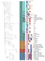 Maximum-likelihood phylogenetic tree constructed based on whole-genome single-nucleotide polymorphisms and phylogenetic clades in a study of antifungal-resistant Candida haemulonii in China. Information is labeled for each strain: geographic origin, antifungal susceptibilities for representative drugs of different classes (fluconazole, amphotericin B, and 5-fluorocytosine), and key amino acid substitutions related to antifungal resistance that were observed in genes encoding lanosterol 14-α-demethylase (ERG11) and uracil phosphoribosyltransferase (FUR1). The tree was rooted to strain B10441 (CBS5149), which is the most ancient C. haemulonii strain, identified in 1962 (from Haemulon sciurus). All remaining strains were isolated after 2010.