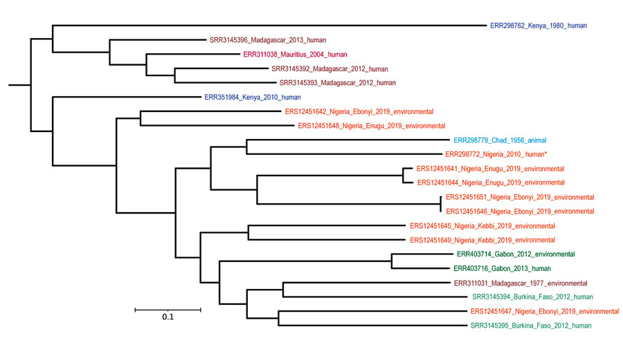 Phylogenetic tree of Burkholderia pseudomallei genomes from Nigeria (orange text) and additional genomes originating from Africa, all retrieved from the European Nucleotide Archive database. Tree generated by FastTree (http://www.microbesonline.org/fasttree) based on core single-nucleotide polymorphisms distance and visualized with iTOL (https://itol.embl.de). Colors indicate countries of origin. Asterisk indicates a previously sequenced, traveler-associated strain. Scale bar indicates number of nucleotide substitutions per site.