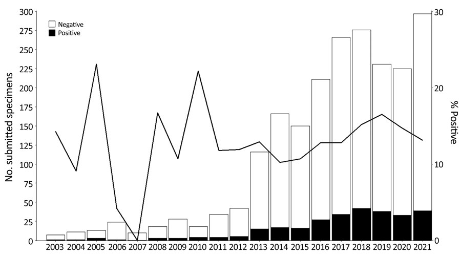 Number and percentage of specimens tested by using Bartonella-specific PCR during 2003–2021 in study of Bartonella spp. infections identified by molecular methods, United States. A total of 2,273 specimens were submitted for B. henselae and B. quintana bispecific targeted PCR. Bars indicate total numbers of submitted specimens each year and numbers of Bartonella-positive or negative specimens. Line indicates percentage of specimens that were positive for Bartonella spp.
