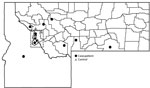 Geographic locations in Montana and Idaho, USA, where case-patients (n = 12) and controls (n = 4) reported tick acquisition during the 2 weeks before symptom onset in a Colorado tick fever case–control study, Montana, USA, 2020. Ravalli County (dashed box) had the most case-patient tick acquisitions (5); Missoula, Mineral, Madison, Park, Big Horn, and Lewis and Clark each had 1 acquisition. One case-patient acquired a tick in Idaho.