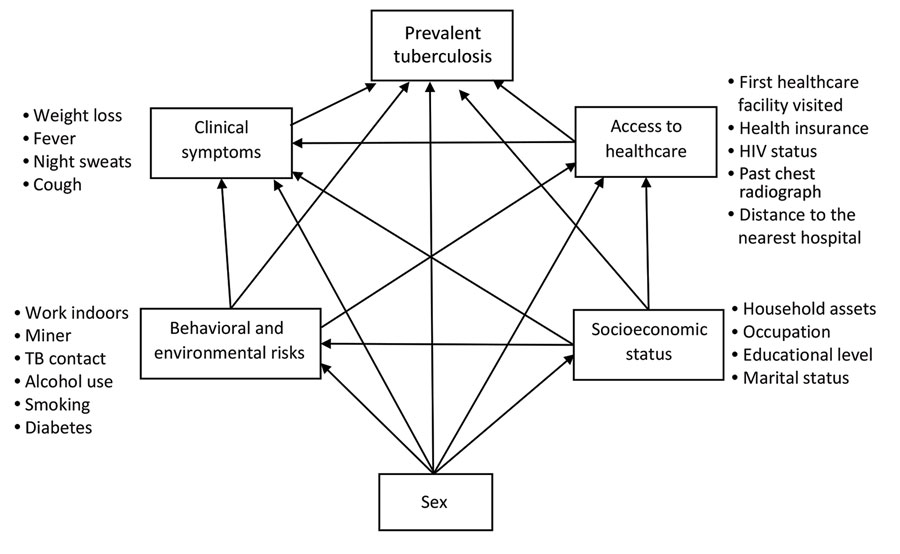 Conceptual framework of the structural equation model to describe pathways between tuberculosis prevalence, sex, and the associated domains for case–control analysis of tuberculosis prevalence, Vietnam, 2017–2018.