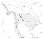 Locations, species, and Mycobacterium tuberculosis complex status in free-ranging macaques, Thailand, 2018–2022. White area on map shows the range of rhesus macaques; light gray, common long-tailed macaques; and dark gray, Burmese long-tailed macaque. Numbers indicate locations where we found macaques: 1, Wat Phra Phutthabat Pha Ruea; 2, Wat Tham Mueang On; 3, Wat Tham Thorani Siri Ram; 4, Ban Sang School; 5, Ban Phon Kor; 6, Wat Tham Erawan; 7, Wat Haad Moon; 8, Wat Ta Sung Tai; 9, Kao Nor; 10, Wat Tham Thep Ban Dan; 11, Wat Mueang Khaen Yai; 12, Muang Ling Ban Wan; 13, Wat Ku Phra Ko Na; 14, Wat Phikun Ngam; 15, Suan Ling Garden; 16, Lopburi; 17, Phar Phothisat; 18, Wat Kai; 19, Phra Phutthabat Noi; 20, Khao Laem Pu Chao; 21, Wat Tham Khao Chakan; 22, Wat Tham Khao Cha Ang; 23, Wat Khao Cha Ang; 24, Wat Khao Wong Khot; 25, Kao Ngu; 26, Wat Kao Tharmon; 27, Wat Suwan Kuha; 28, Wat Khao Keaw Wichian; 29, Khao Chaison; 30, Tham Pra Khayang; ; 31, World War Museum; 32, Mangrove Forest Research Center.