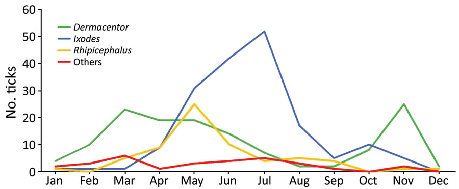 Tick seasonality in study of bacterial agents detected in 418 ticks removed from humans during 2014–2021, France. Overall prevalence of Dermacentor, Ixodes, Rhipicephalus, and other tick species in metropolitan France (n = 387), which includes Corsica, during January–December is indicated. The ticks were among those sent to the Institut Hospitalo-Universitaire Méditerranée Infection in Marseille, France, and identified by using matrix-assisted laser desorption/ionization time-of-flight mass spectrometry or sequencing PCR products.