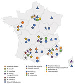 Geographic origin of ticks and identification of tickborne bacteria in study of bacterial agents detected in 418 ticks removed from humans during 2014–2021, France. Symbols indicate tick species and tickborne bacteria identified from locations in metropolitan France, including Corsica. Ticks were sent to the Institut Hospitalo-Universitaire Méditerranée Infection in Marseille, France, and identified by using matrix-assisted laser desorption ionization time-of-flight mass spectrometry. Bacteria carried by the ticks were isolated and identified by PCR or serologic methods at the institute. Of the ticks evaluated, 387 were from metropolitan France; 3 from Guadeloupe, a territory of France in the West Indies; and 28 from other countries.