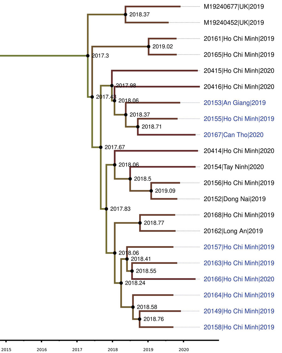 Plylogenetic tree of isolates from an outbreak of sexually transmitted nongroupable Neisseria meningitidis–associated urethritis, Vietnam. Phylogenetic tree was constructed using Baysian Skygrid model, performing with BEAST/BEAGLE version 1.10.4 (https://beast.community/beagle), and displaying with FigTree version 1.4.4 (http://tree.bio.ed.ac.uk/software/Figtree). Blue text indicates ciprofloxacin-resistant strains. Scale bar indicates the time of evolutionary history.
