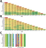 Genetic relationship of HuCV2 from 2 patients in China to other circoviruses. A, B) Pairwise identities of the rep (A) and cap (B) protein of HuCV2 isolate YN09/J030 to other circoviruses. C) Comparison of main residues in the conserved domains of rep protein (RCR and SF3 helicase motifs) between HuCV2 isolates YN09/J030 and YN09/347 and other circoviruses. Asterisks (*) indicate unique residues that are different from PCV3 or WoCV. BatCV, bat-associated circovirus; BearCV, bear-associated circovirus; Cap, capsid protein; HuCV, human-associated circovirus; PagumaCV, paguma circovirus; PCV, porcine circovirus; RCR, rolling circle replication; Rep, replication-associated protein; RoCV, rodent-associated circovirus; SF3, superfamily 3; WoCV, wolverine-associated circovirus. 