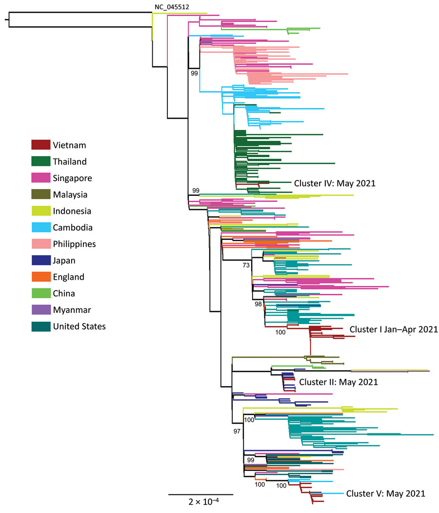 Maximum-likelihood tree of SARS-CoV-2 Alpha and Delta variants during large nationwide outbreak of COVID-19, Vietnam, 2021. Complete coding sequences of Alpha variant viruses circulating in Vietnam in 2021 are shown. Phylogenetic clusters were named accordingly to community clusters recorded during the study period shown in Appendix Figure 1). Numbers along branches are bootstrap values. Cluster II was linked with a traveler from Japan (Appendix Figure 1). Outgroup was the SARS-CoV-2 wild-type strain (GenBank accession no. NC_0455122).
