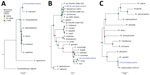 Phylogenetic analysis of pathogens used in control samples for study of prospecting for zoonotic pathogens by using targeted DNA enrichment. A) Schistosoma; B) Plasmodium; C) Mycobacterium. Reads from each control pathogen (M. tuberculosis, P. falciparum, P. vivax, and S. mansoni) were extracted, assembled, aligned, and trimmed for maximum-likelihood phylogenetic analyses. The phylogenies were used to identify the species or strain of pathogen used in the controls. Blue indicates control samples. Bootstrap support values are indicated by colored diamonds at each available node. Branches with <50% bootstrap support were collapsed. Nodal support is indicated by color coded diamonds. Scale bars indicate nucleotide substitutions per site. Assembly accession numbers (e.g., GCA902374465) and tree files are available from https://doi.org/10.5281/zenodo.8014941.