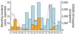 Association of Candida auris infection with COVID-19 hospitalization, Israel, January 2021–May 2022. Bars represent monthly C. auris incidence (no. cases). Cases with SARS-CoV-2 co-infection are shown in orange, non–co-infected cases are in blue. Red line shows level of hospital occupancy with COVID-19 patients. Scales for the y-axes differ substantially to underscore patterns but do not permit direct comparisons.